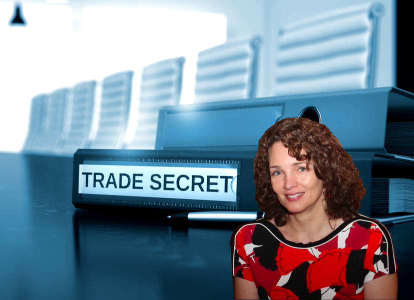 Trade Secrets – New Developments in Intellectual Property Law